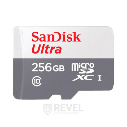 Карта памяти SanDisk Ultra microSDXC 256GB 100MB/s Class 10 UHS-I