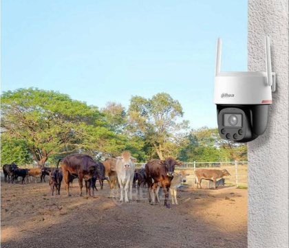 4G IP Wizcolor уличная поворотная видеокамера с AI детекцией и автотрекингом Dahua DH-P4F-PV-4G (4мм)